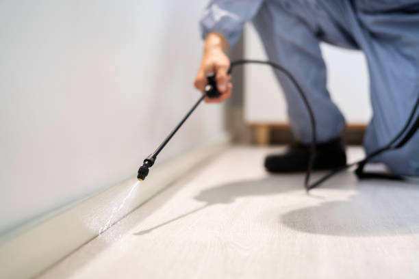 Licensed Pest Control service in Wake Forest, NC - Show Me Pest Control