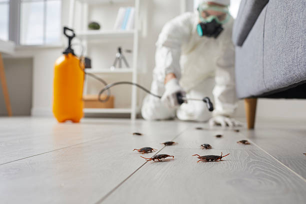 Post-Treatment Bed Bug Interceptor Monitoring in Wake Forest