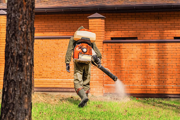Bed Bug Clearance Verification and Documentation in Wake Forest